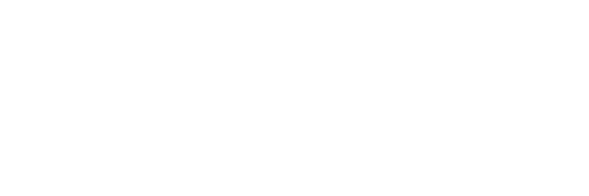 ALK Foundation